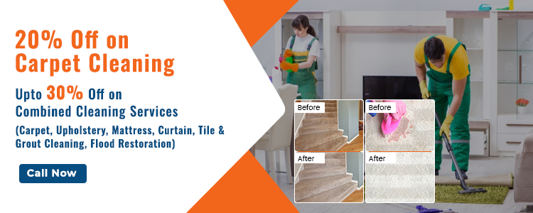 carpet clean services