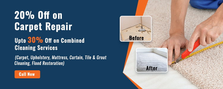 carpet clean services