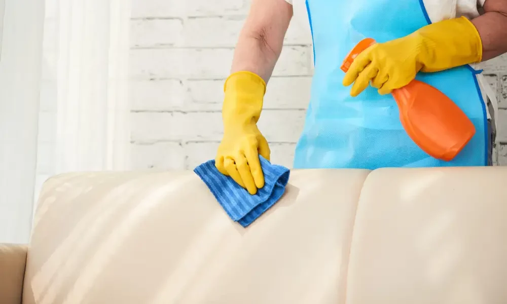 Upholstery Masters Cleaners